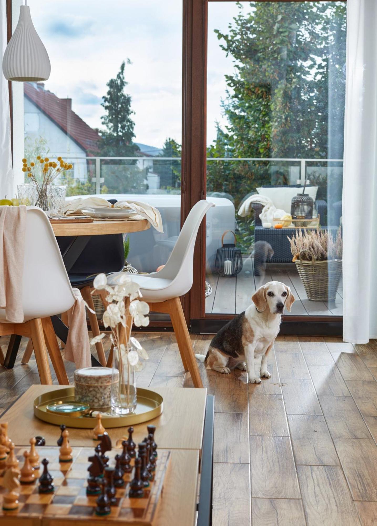 Oh Deer! Apartment Jelenia Góra Екстериор снимка